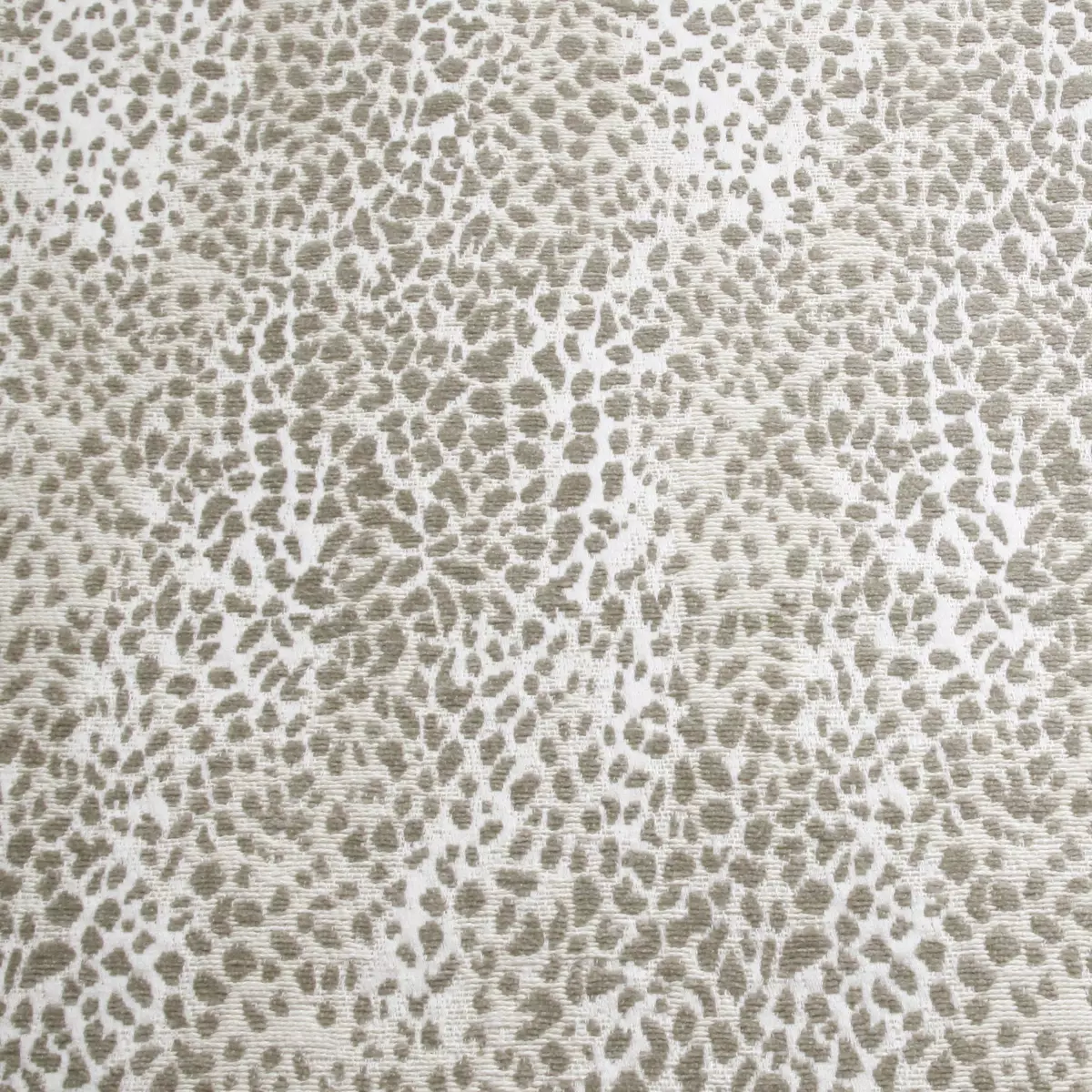 Jaguar | Limestone