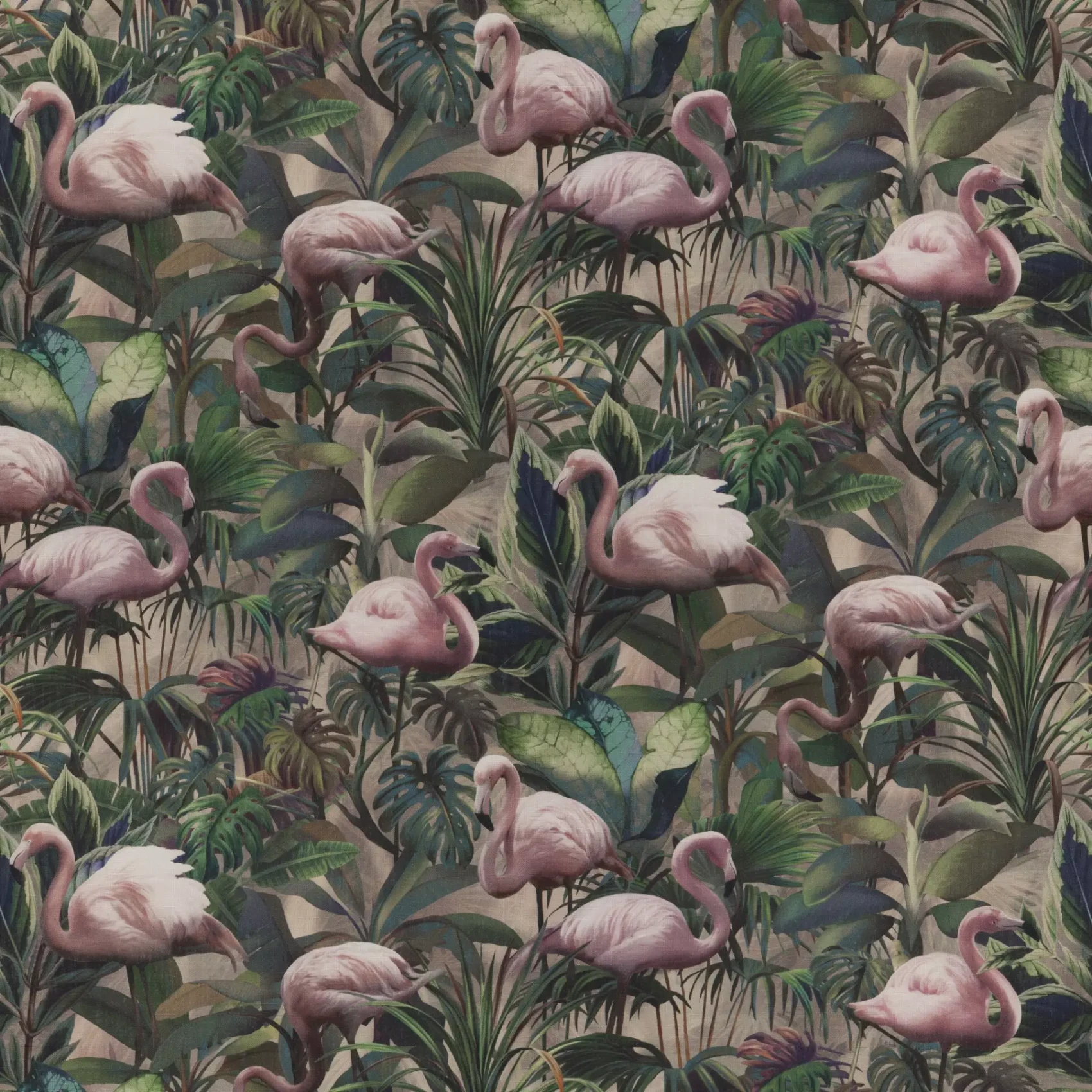 Flamingo Botanico | CA1442/071