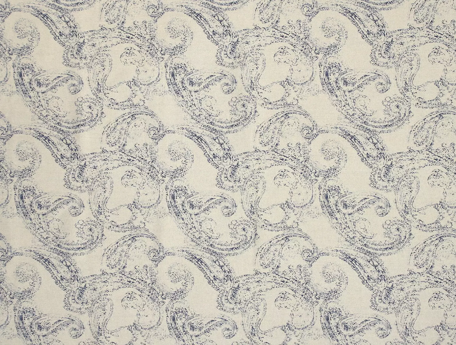 Antique Paisley | Ink