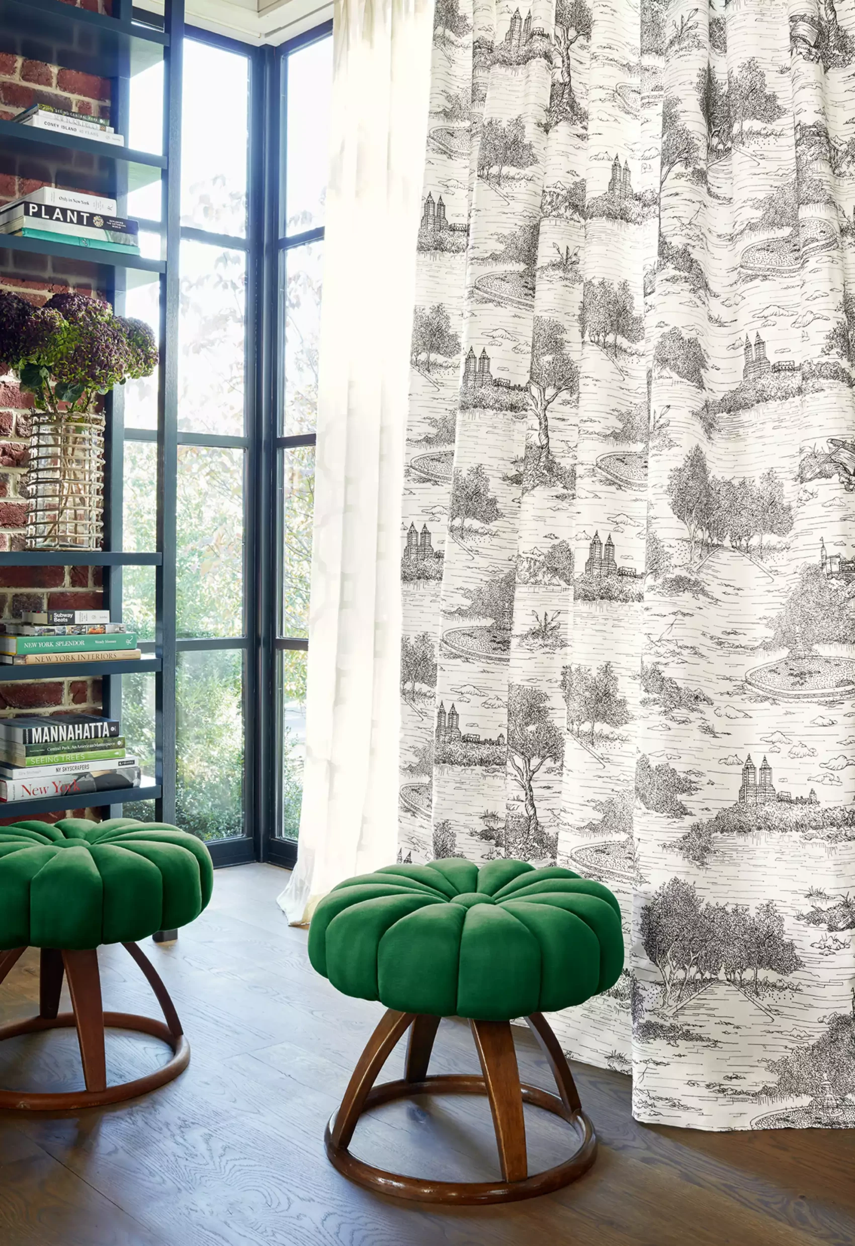 Central Park Toile