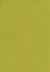 Japan - Citrus