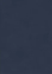 Japan - Navy
