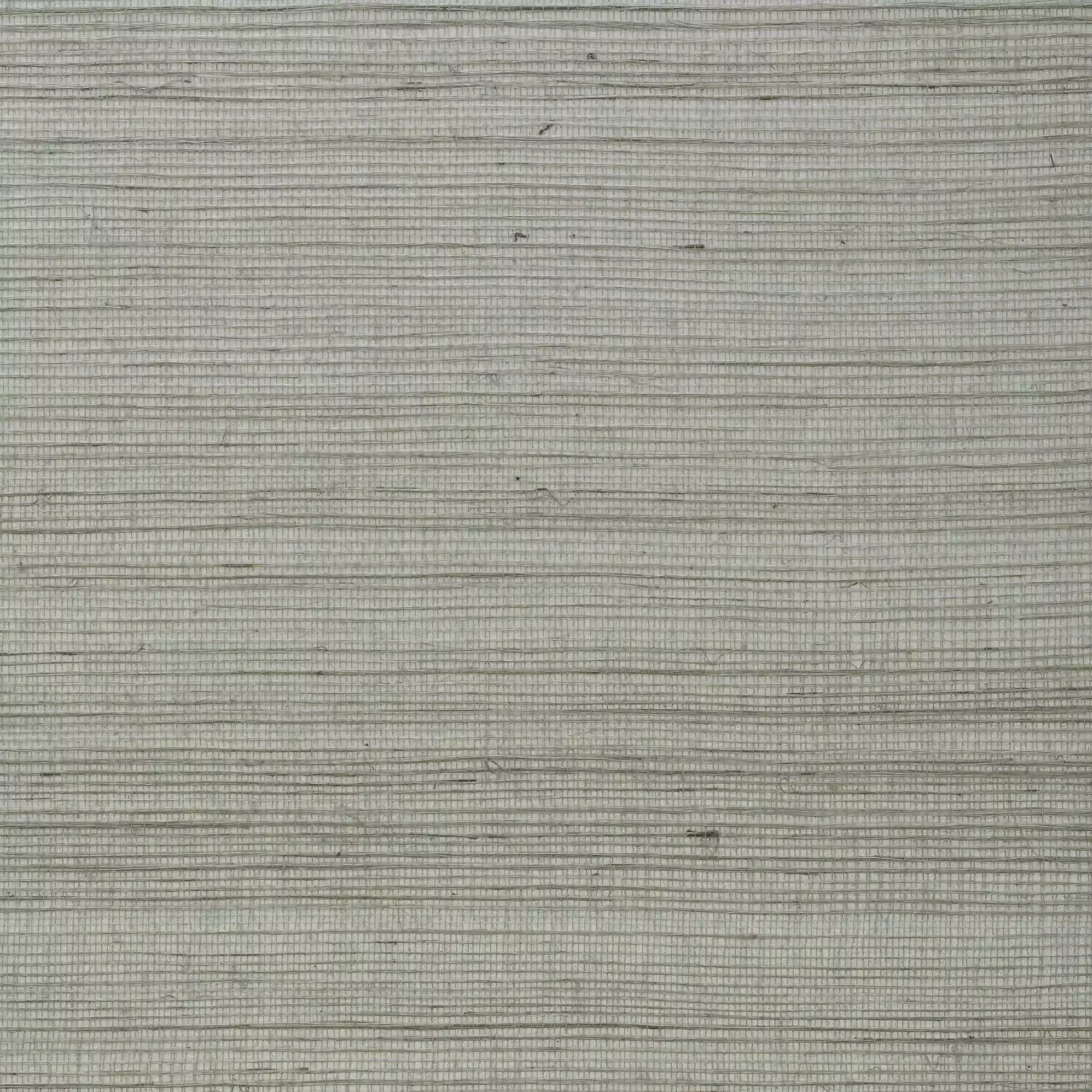 Kongo / Seed