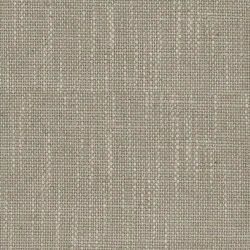 Linum 2 - Linen