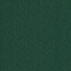 Outside - Forest