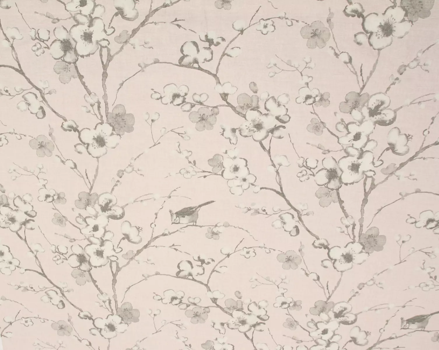 View Sakura | Petal Sakura | Petal