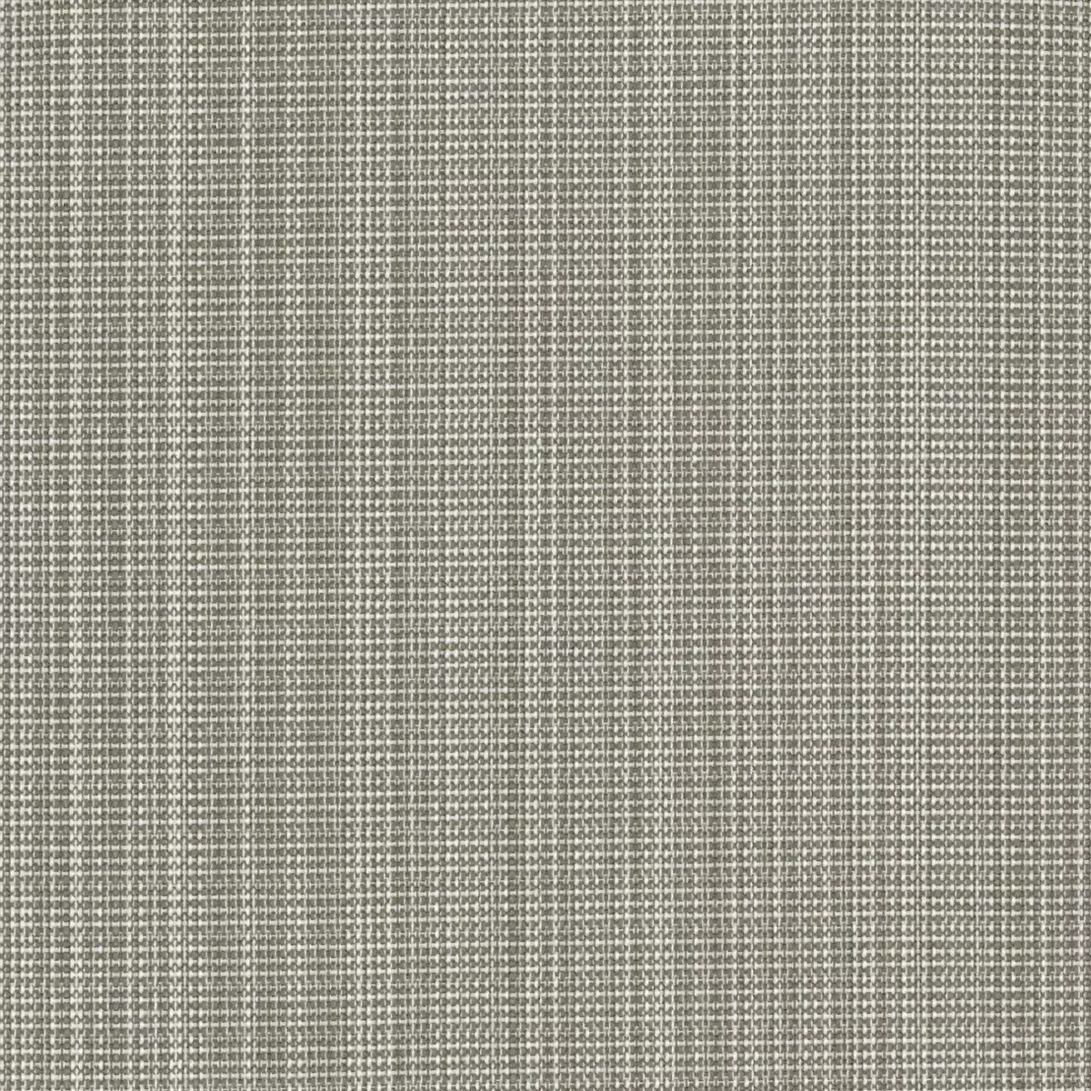 View Streak - CARRERA Streak - CARRERA
