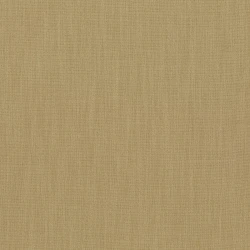 Gratitude - Ch3167/040