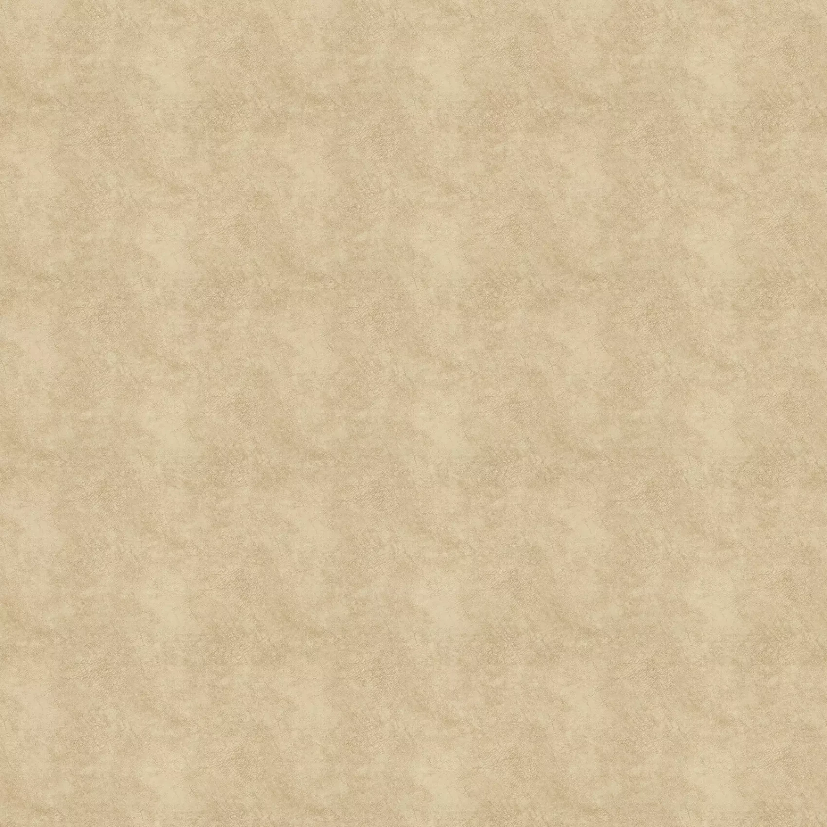 Just Imagine | CA1530/020