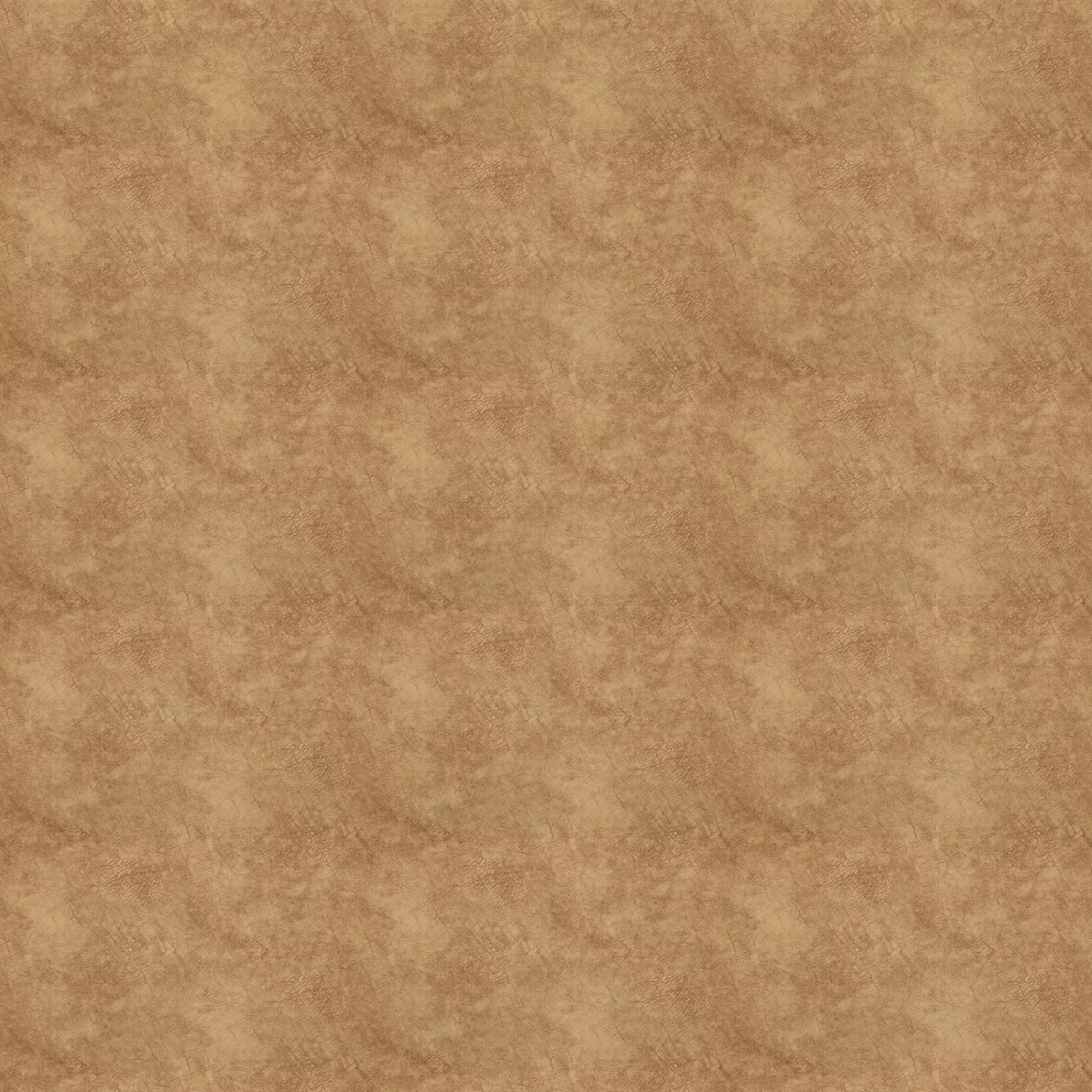 Just Imagine | CA1530/022