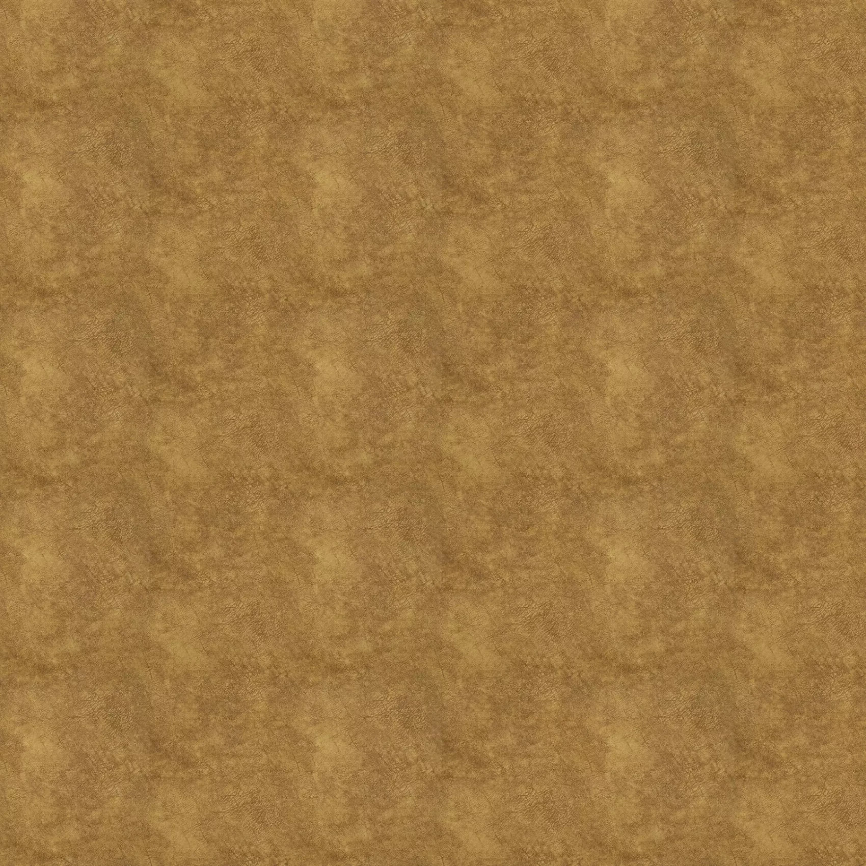 Just Imagine | CA1530/023