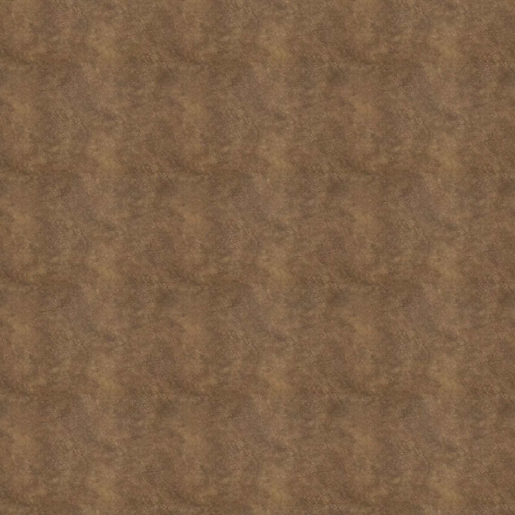 Just Imagine | CA1530/024