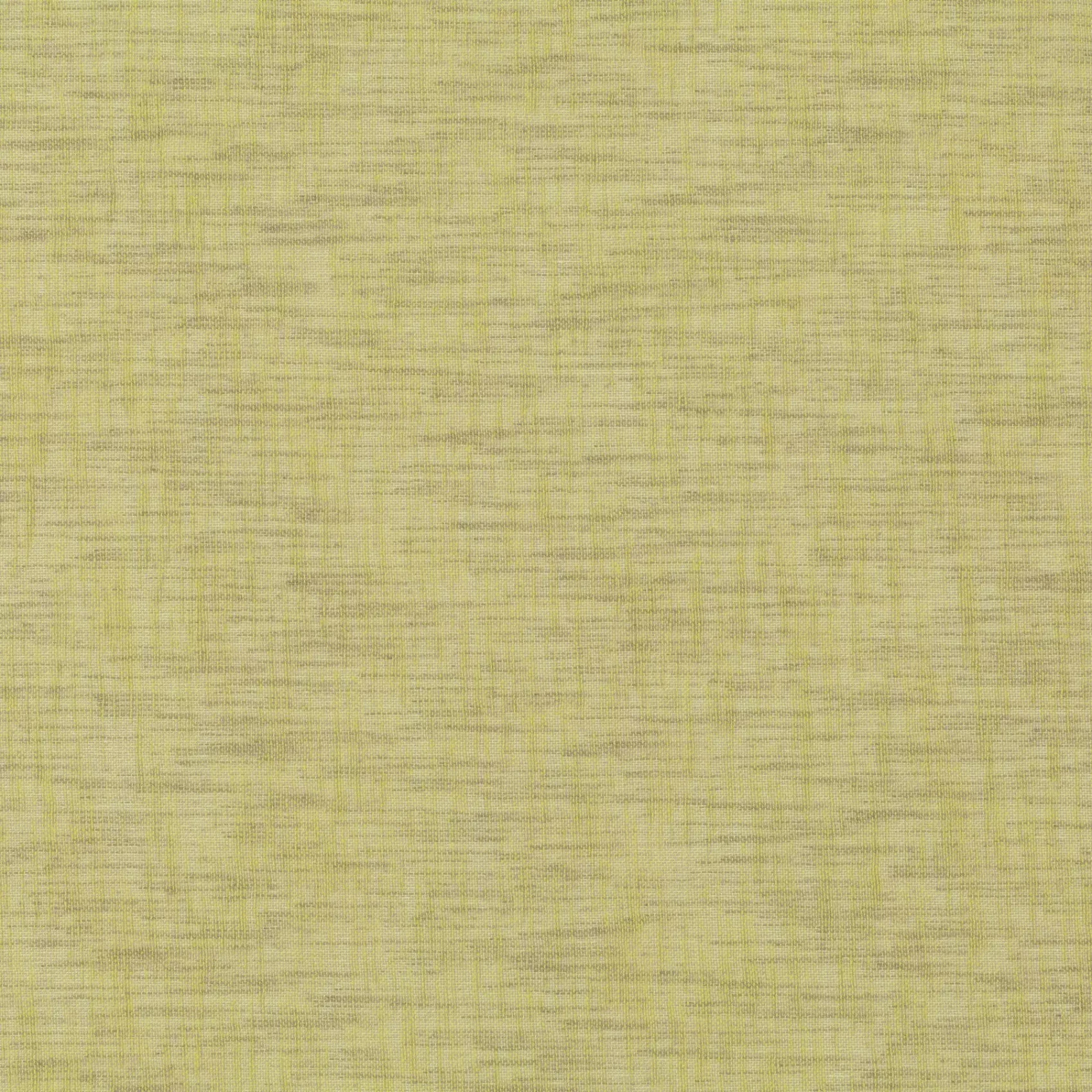 Novelist | CA1563/030