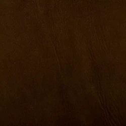 Patagonia - Cioccolato