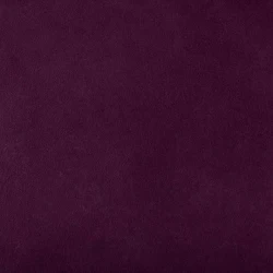 Patagonia - Viola