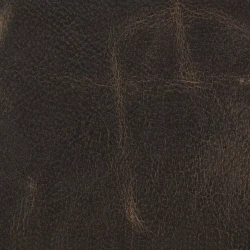Patagonia Vintage - Biscotto