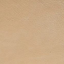 Patagonia Soft - Sogno