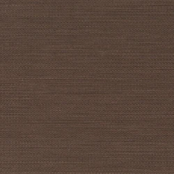 Senses - Ch9123/020