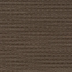 Senses - Ch9123/021
