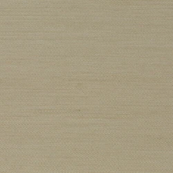 Senses - Ch9123/030