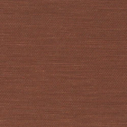 Senses - Ch9123/061