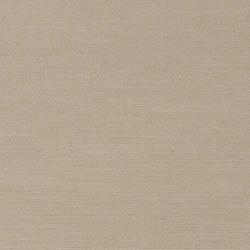 Senses - Ch9123/072