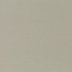 Senses - Ch9123/073