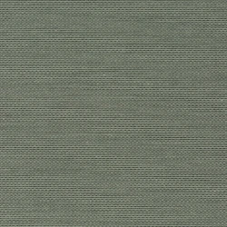Senses - Ch9123/080