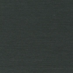 Senses - Ch9123/081