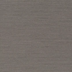 Senses - Ch9123/094