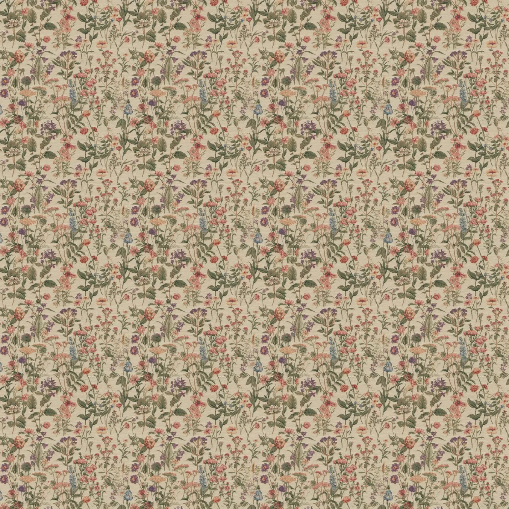 Brienno | 9-2305-070