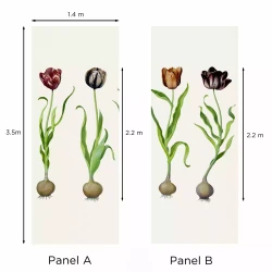 Tulips - Large Panel A & B