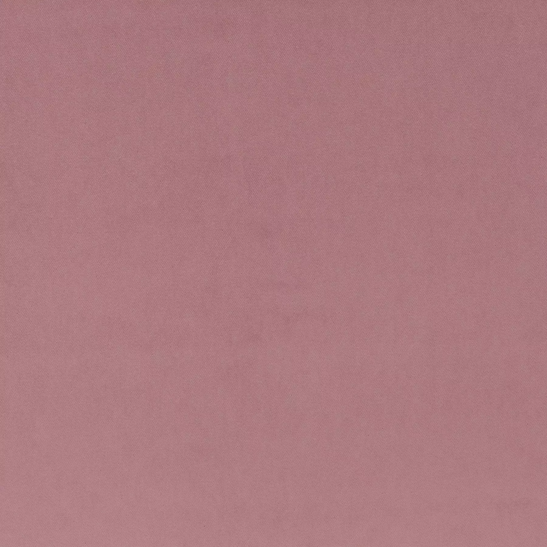 View Champion Vol. 2 |  Ja3005-066 Champion Vol. 2 |  Ja3005-066