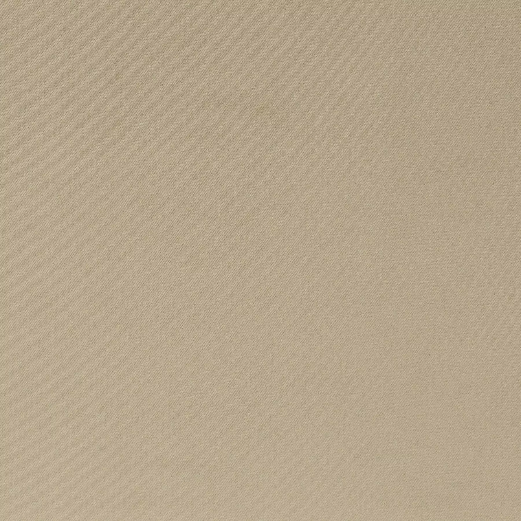 View Champion Vol. 2 |  Ja3005-078 Champion Vol. 2 |  Ja3005-078