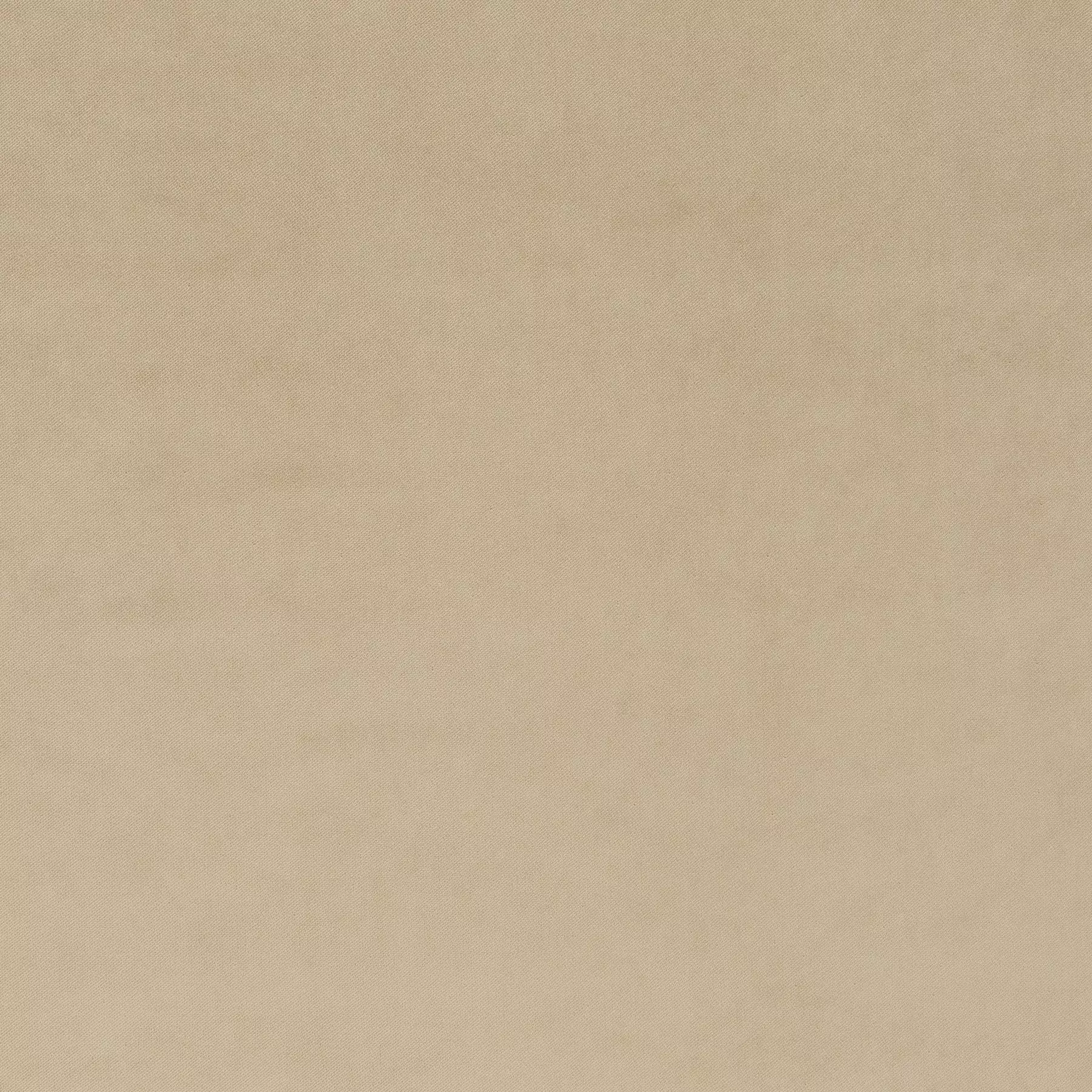 View Champion Vol. 2 |  Ja3005-079 Champion Vol. 2 |  Ja3005-079