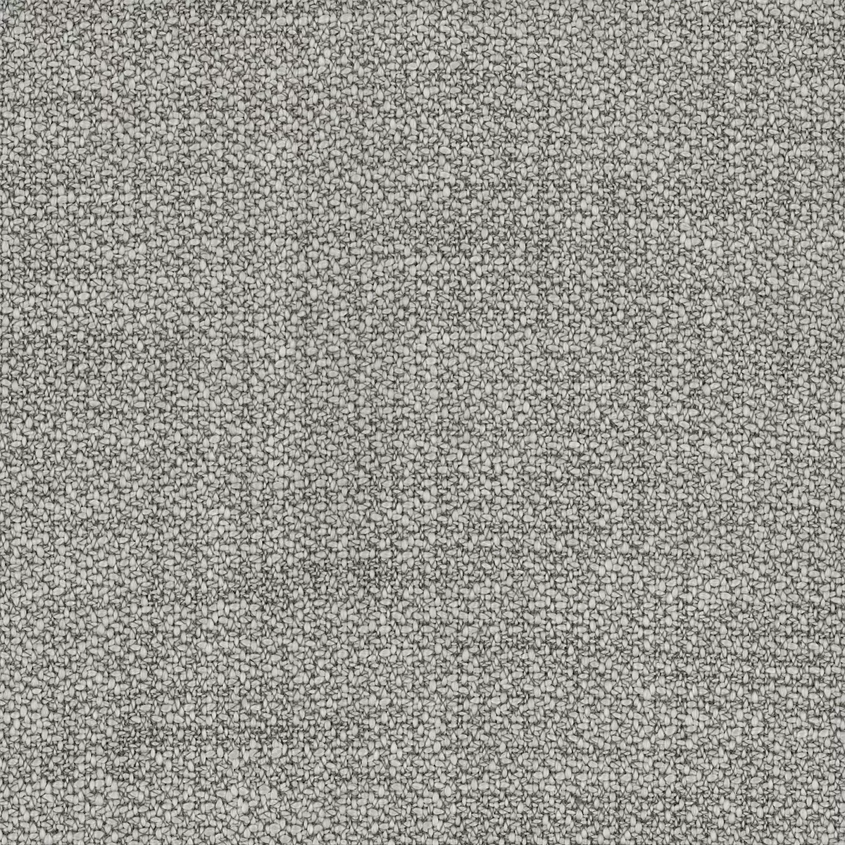 View Stingray | Shark Skin Stingray | Shark Skin