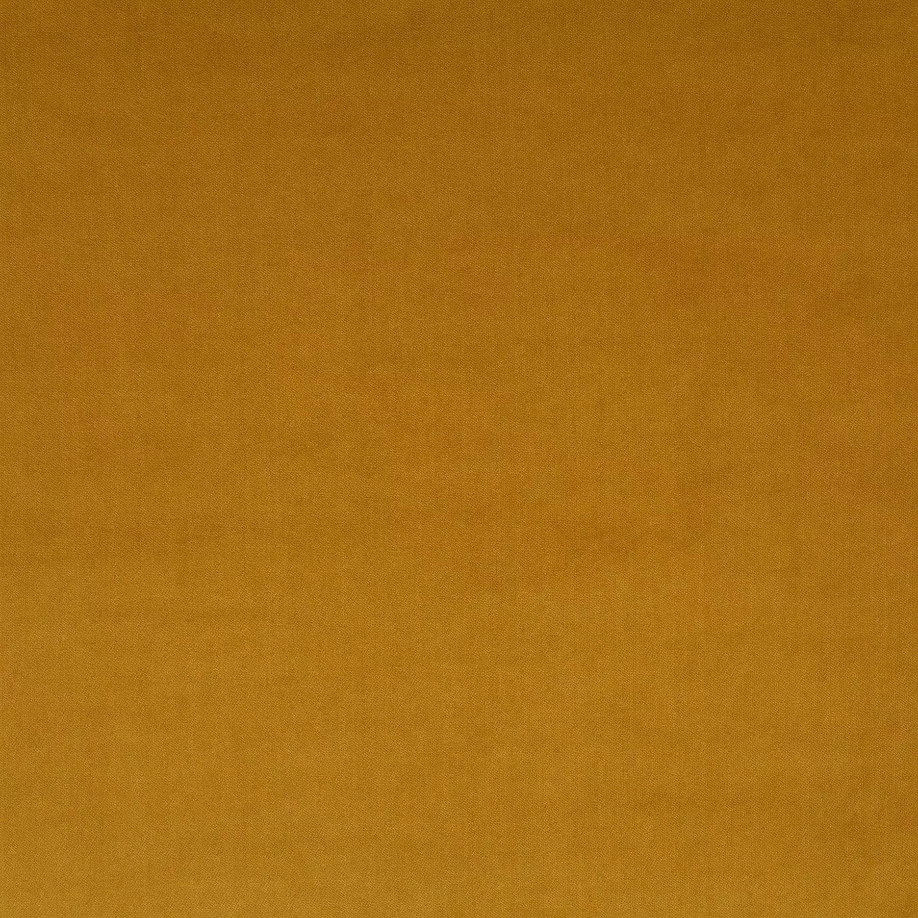 View Champion - 1-3114-041 Champion - 1-3114-041