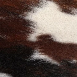 Vitellina Bicolour/pelo - H Tricolor