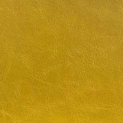 Athena - Nebbia