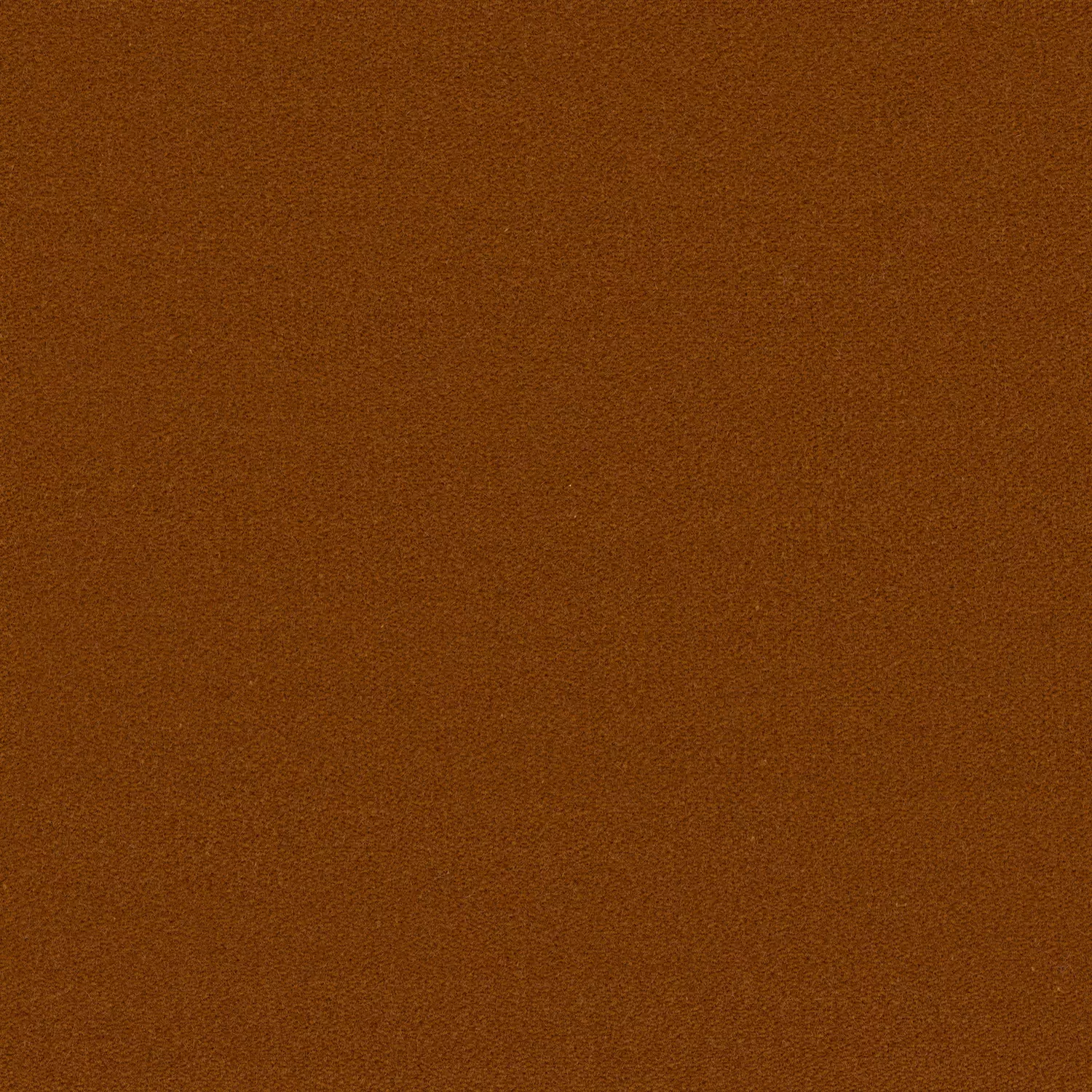 Saga Lux - 10975.285