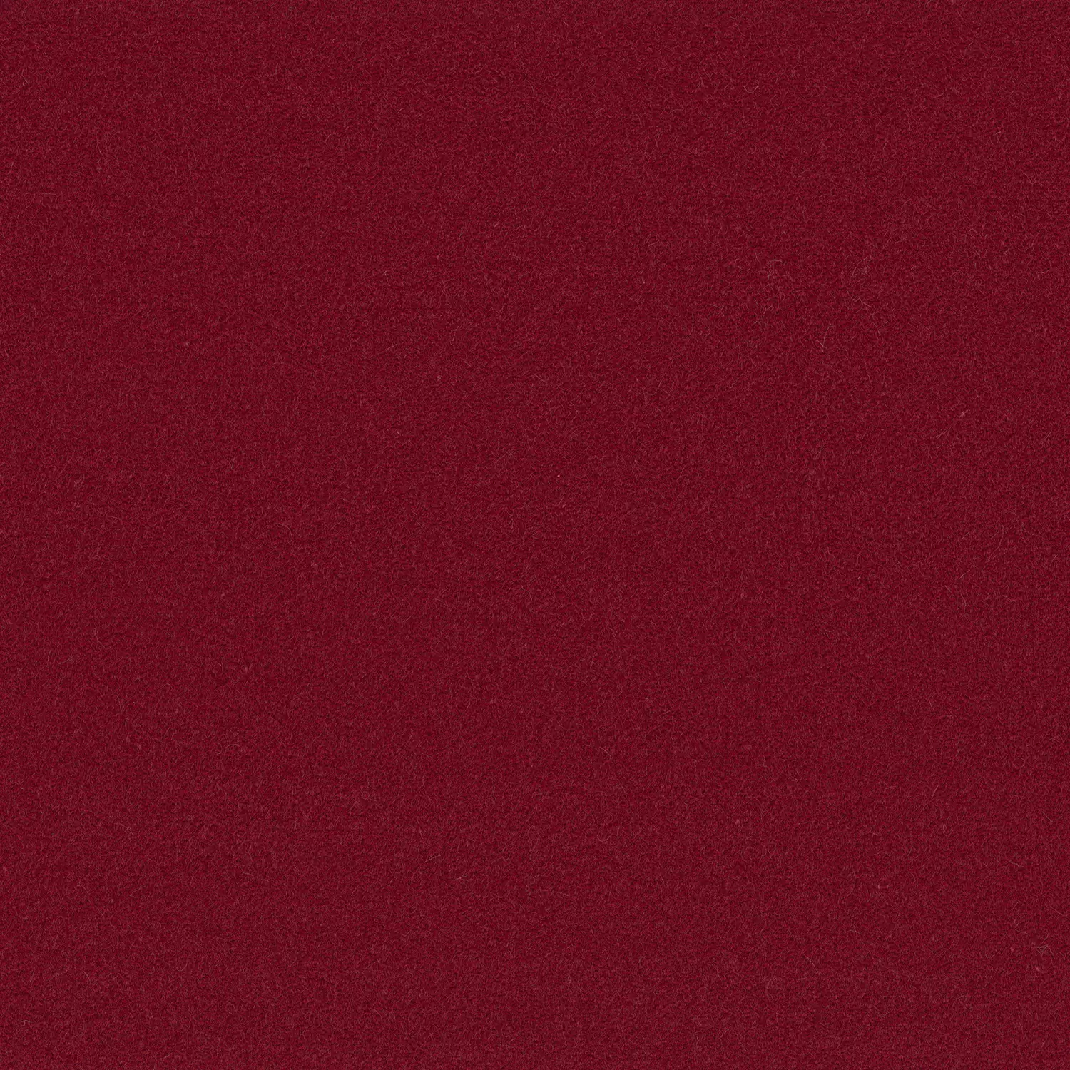 Saga Lux - 10975.336