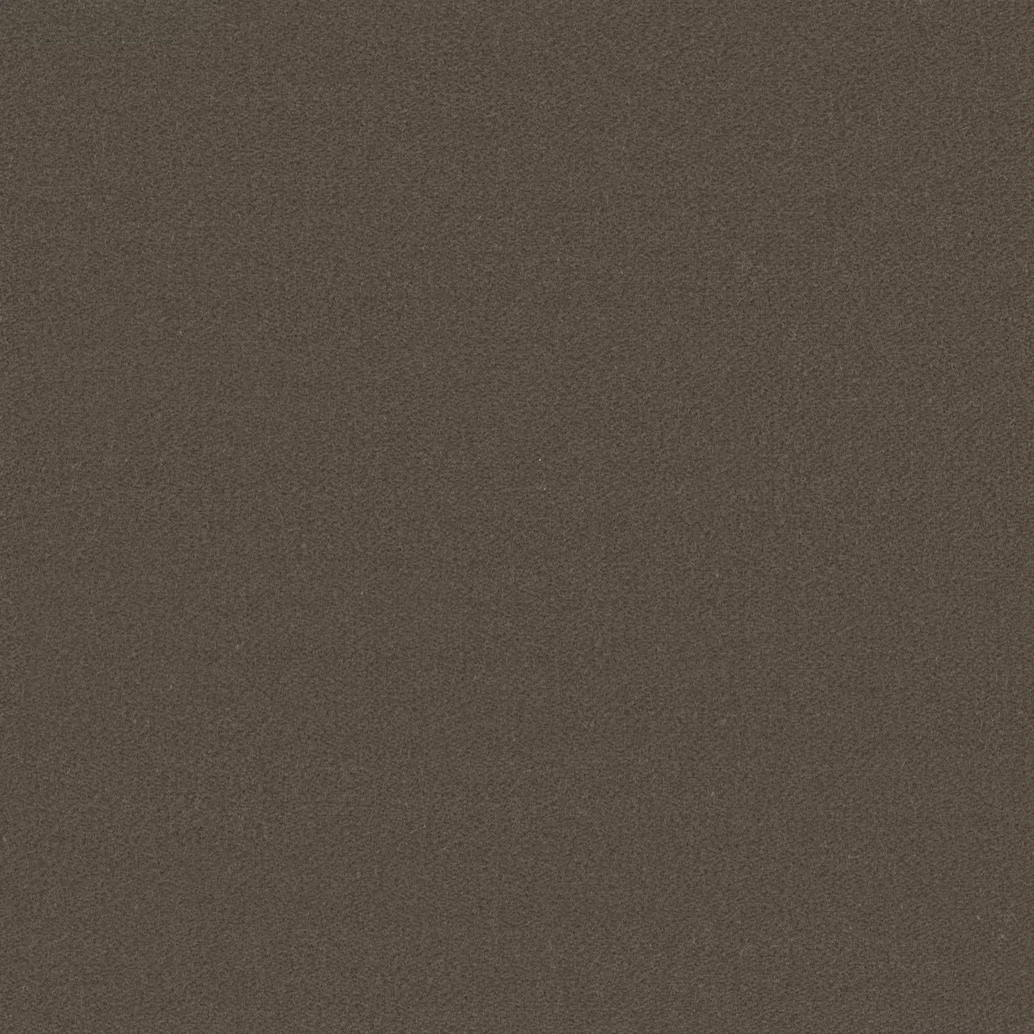 Saga Lux - 10975.985