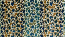 Jag - Jewel