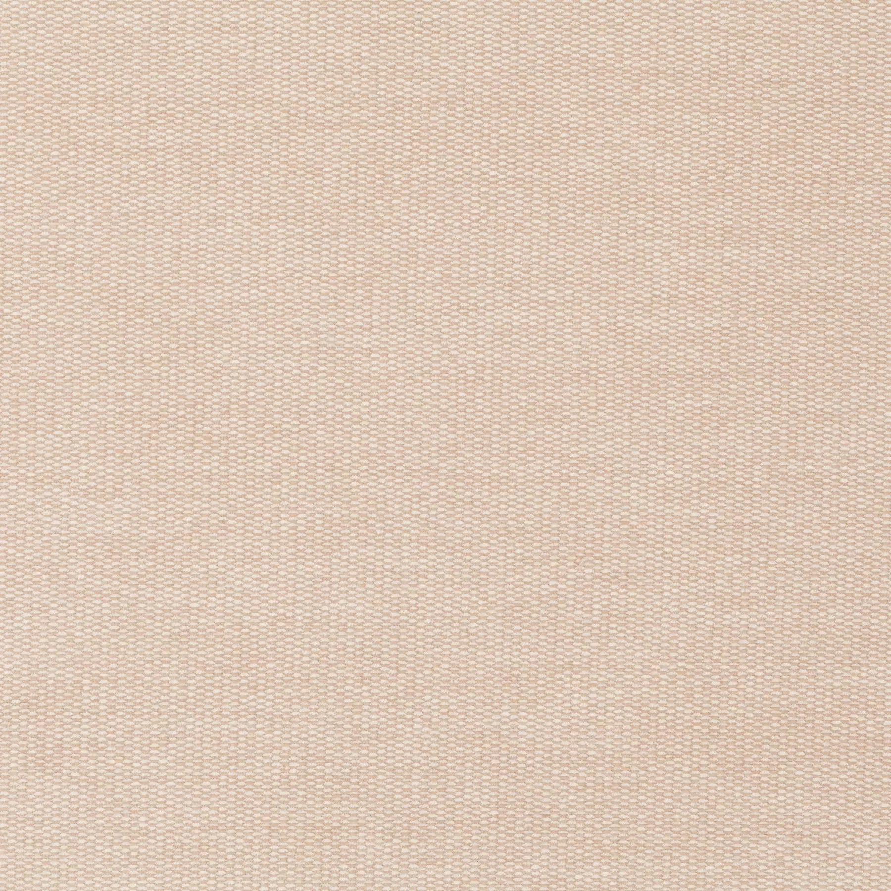 Rebirth - JA1061-061
