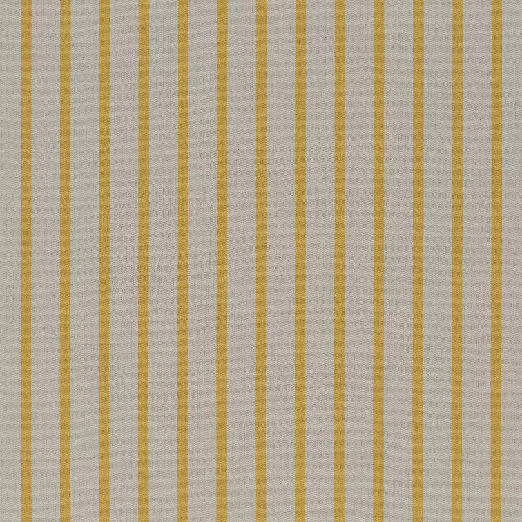 Menton - JA2119-041