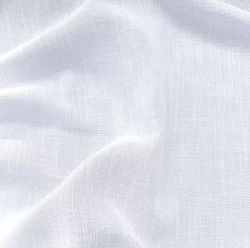 Ballet - Swan