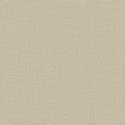 Meringue - 1014/312