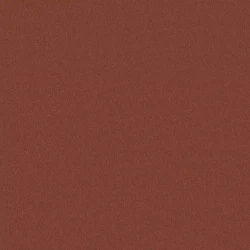 Dave - 11024.384