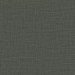 Joni Re - 11007.696