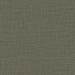Joni Re - 11007.796